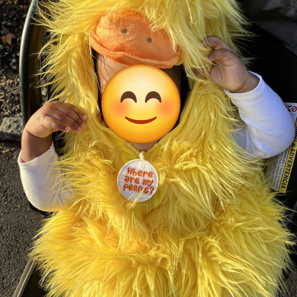 SUPER CUTE Halloween Yellow Chicken / Duckling Costume
